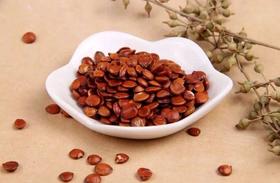 药食同源小知识—酸枣仁