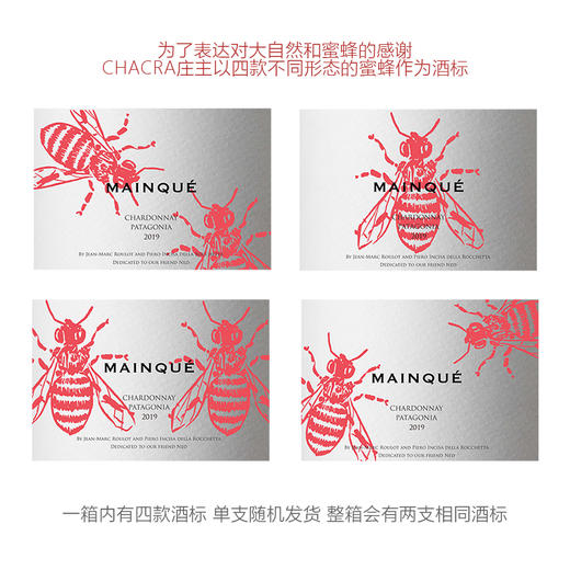施语花酒庄蔓可霞多丽干白葡萄酒 Chacra Mainque 2022 商品图1