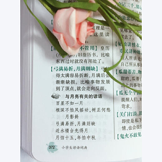 小学生谚语词典(第2版) 商品图4