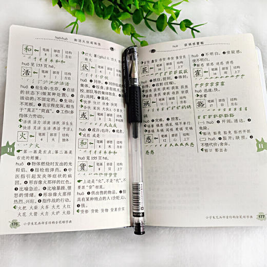 小学生笔画部首结构全笔顺字典(小学语文工具书系列) 商品图10