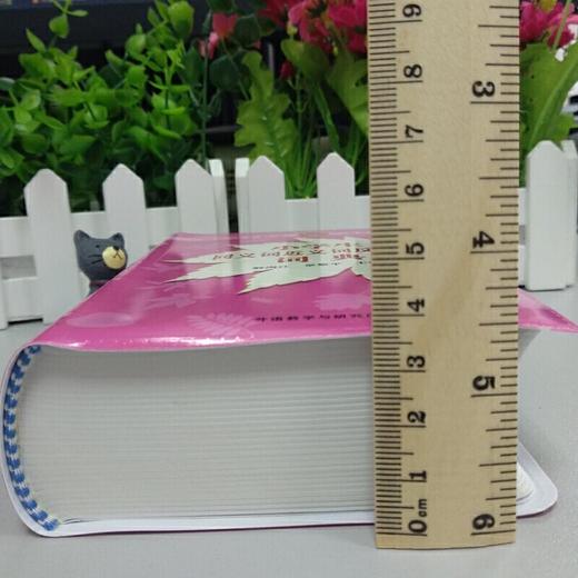 小学生同义词近义词反义词词典 商品图3