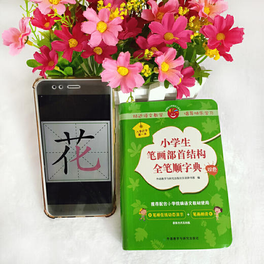 小学生笔画部首结构全笔顺字典(小学语文工具书系列) 商品图9