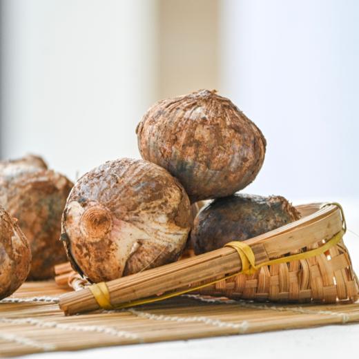 【紫皮独头蒜 （鲜蒜）】| 蒜香浓郁，易剥皮，蒜瓣饱满，辛辣多汁天然健康 商品图2