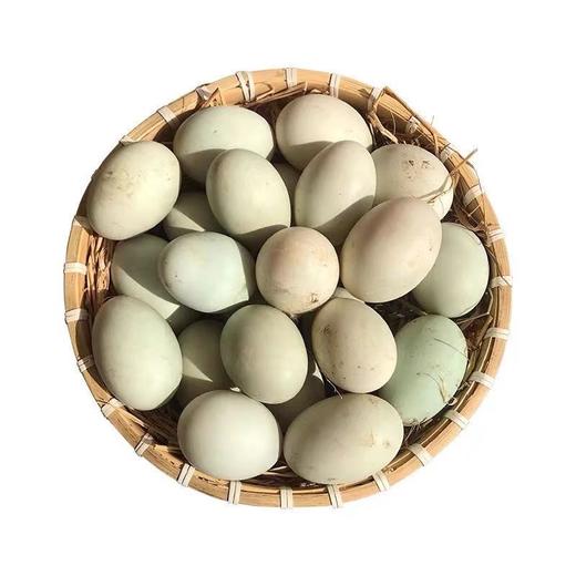 兴凯湖鲜鸭蛋 商品图0