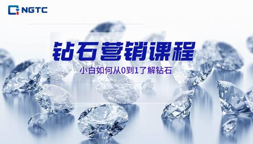 钻石营销课程 商品图0
