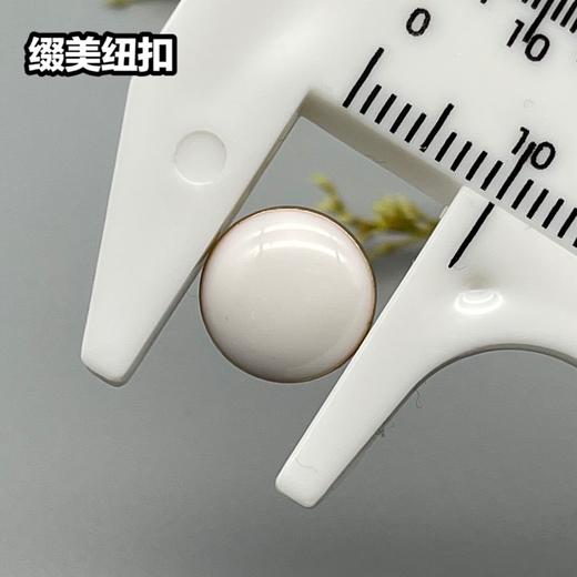 H009(整包购买) 商品图3