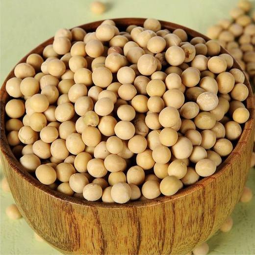 金亮子有机黄豆350g/罐 五谷杂粮 蒸煮熬粥营养丰富早餐系列学生