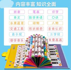 【儿童玩具】*早教有声读物挂本点读发声书启蒙益智拼音宝宝认知挂图充电款玩具