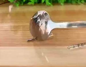 水银体温计破碎后会有汞挥发中毒！！ 商品图0