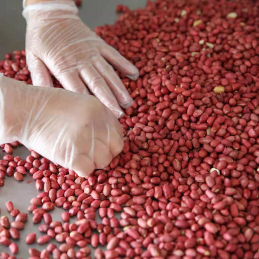 【产地直发包邮】山季—石磨纯花生酱 商品图4