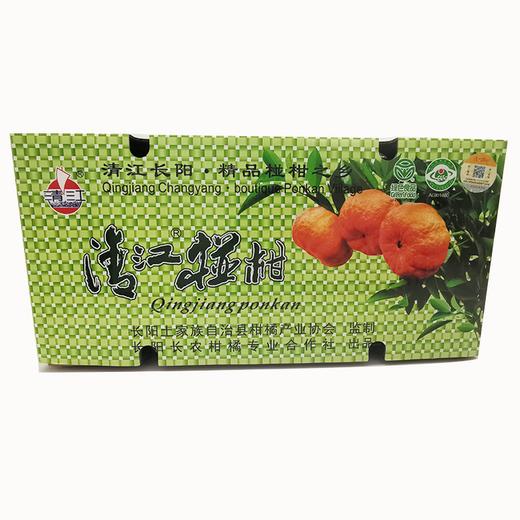 清江椪柑特级45个(宜昌城区外不包邮) 商品图0