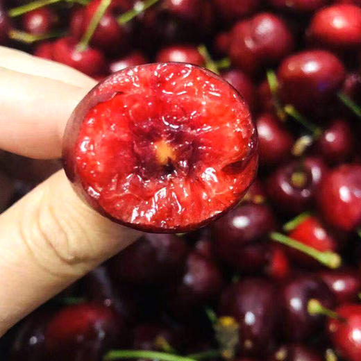 利果源土耳其进口车厘子 商品图1