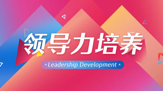领导力培养 商品图0