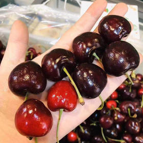 利果源土耳其进口车厘子