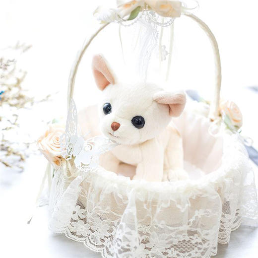 伽百利吉吉15cmW1009毛绒玩具公仔睡觉抱枕安抚陪伴玩偶男孩女孩礼物 商品图1