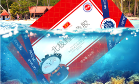 养生好物推荐|走亲访友与“礼”相随