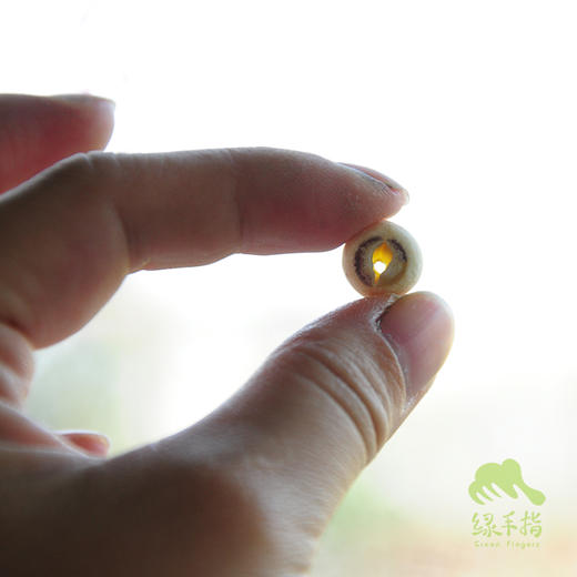 生态贡莲（磨皮白莲子） | 合作生产* Eco-lotus seed | Coproduction 商品图1