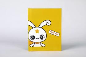2020占星兔硬壳笔记本子精致创意小清新个性简约文艺少女生可爱日记本记事本加厚卡通封面礼盒装
