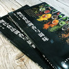 现代食品调香与调味 商品缩略图2