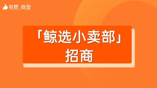 【鲸选小卖部】招商 商品图0