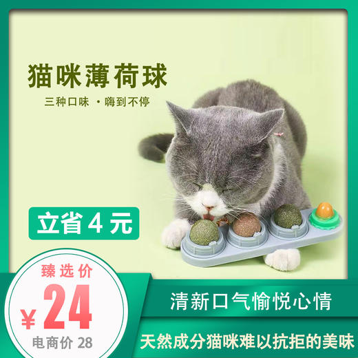 舔舔乐 猫咪薄荷球 三种口味送猫糖 商品图0