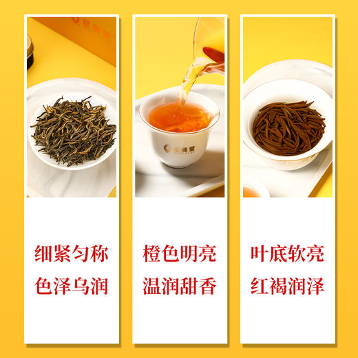 武夷星 遇见 金骏眉 礼盒 60g 商品图3