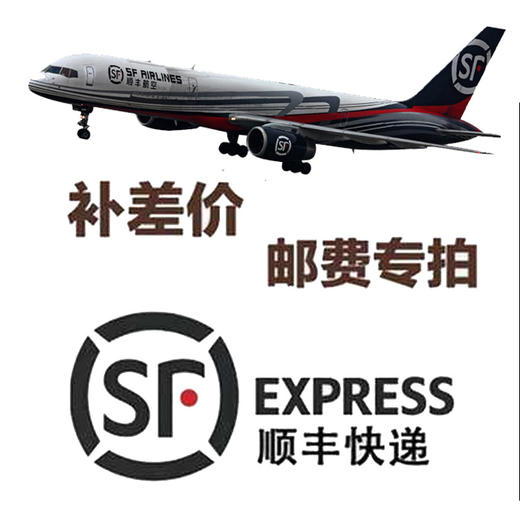 顺丰快递补差价专用链接，联系客服拍下，单拍无效 商品图0