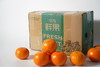 1.23-1.24业务员福利-云南沃柑一箱5斤装 商品缩略图0