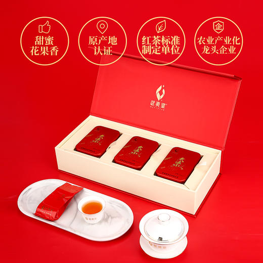 武夷星 遇见 武夷红 正山小种 礼盒 60g 商品图2