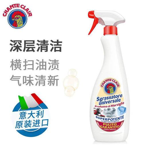 大公鸡头多功能油污净2瓶装（2瓶装*625ml） 商品图1