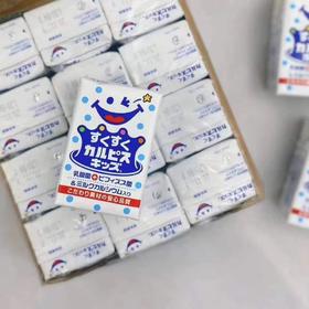 可尔必思乳酸菌