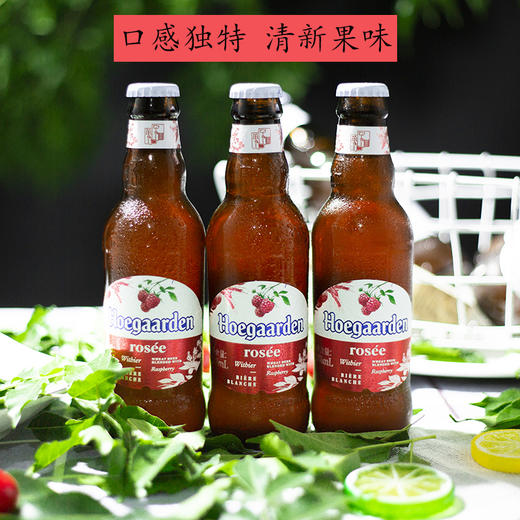 福佳啤酒玫瑰味（国产）248ml（AA） 商品图7