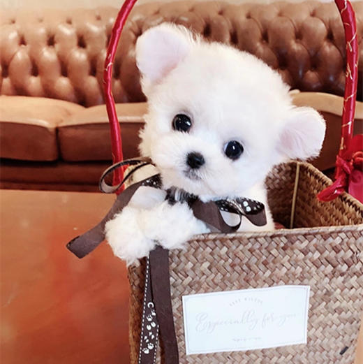 电脑包定制 商品图0