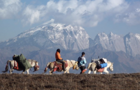 香格里拉“雪山飞狐”马背旅行 | 5天