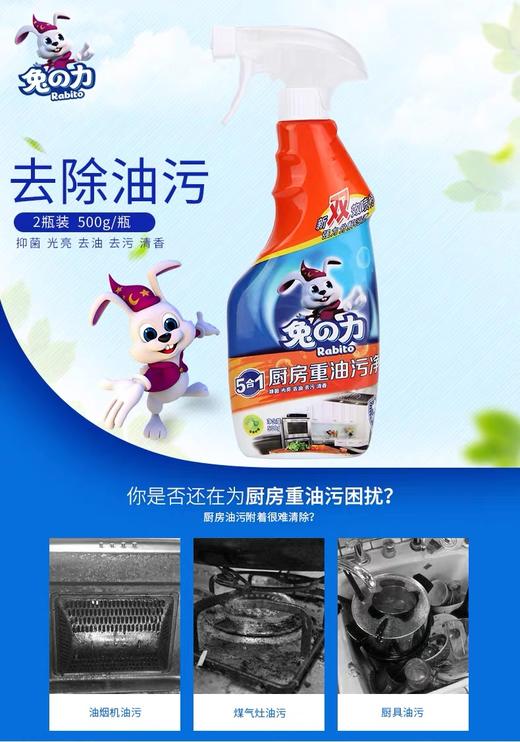 1F 兔之力厨房重油污 /组 500g×2 商品图0