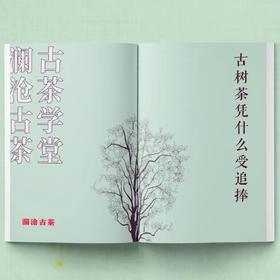 古树茶凭什么受追捧？
