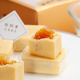 凤梨酥（下单成功后48小时内快递发货）