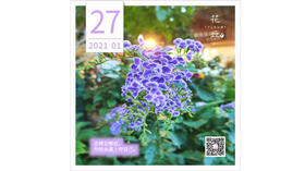 【花丘•心语】