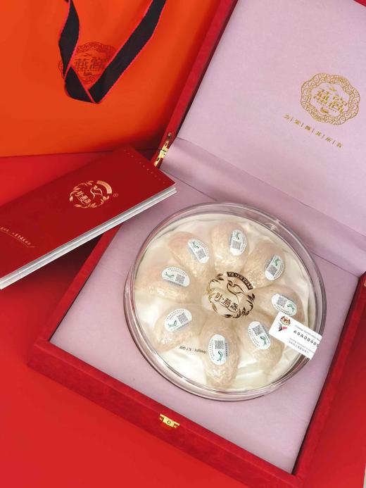 特级优质大燕盏 50g—100g 商品图3