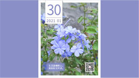 【花丘•心语】