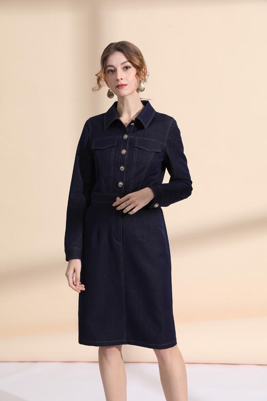 迹明线收腰连衣裙 商品图1