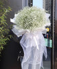 白色满天星大花束 商品缩略图0