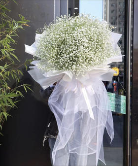 白色满天星大花束