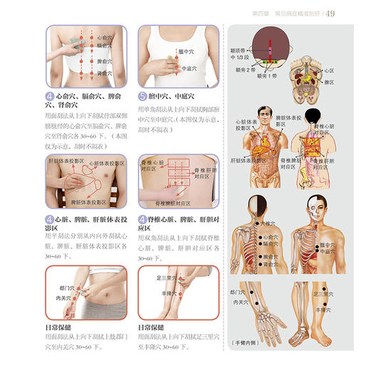 张秀勤精准刮痧 商品图9