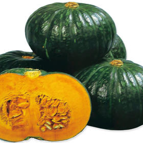 [专业种子] “味皇”南瓜种子