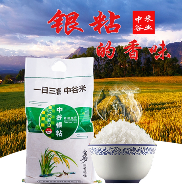 【扶贫】中谷银粘(5KG)