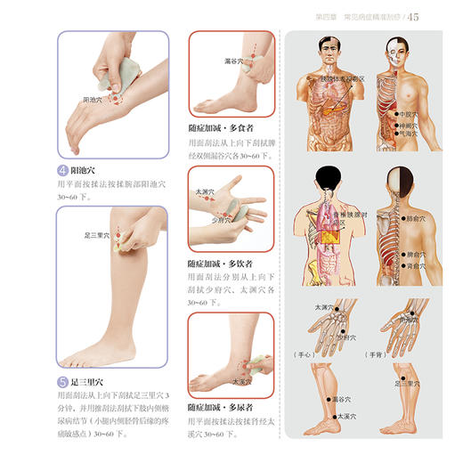 张秀勤精准刮痧 商品图5