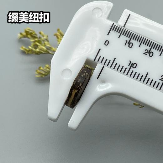 M18(整包购买) 商品图5