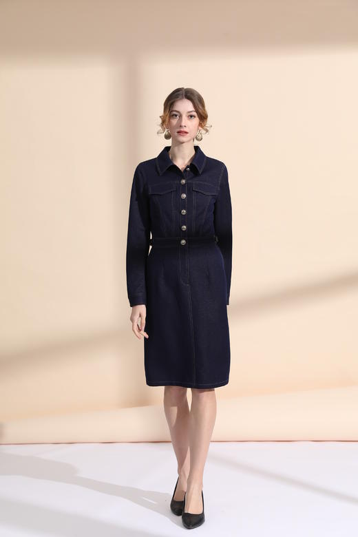 迹明线收腰连衣裙 商品图0