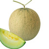 [专业种子] “库拉”网纹甜瓜种子 商品缩略图0